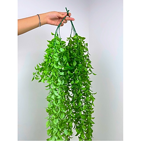 Mua Cụm lá rủ giả - Dây leo trang trí - dài 40cm đến 80cm - Cây giả  hoa lụa Decor trang trí nhà cửa