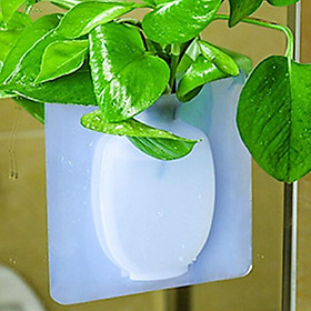 Lọ Hoa - Bình Hoa Silicon Dán Tường