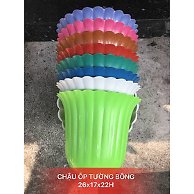 Combo 5 Chậu Ốp Tường Hoa Sọc Hải Đăng CH5-02