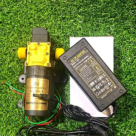 Mua MÁY BƠM NƯỚC MINI 12V DÙNG TƯỚI CÂY PHUN PHÂN THUỐC CHO LAN-CÂY CẢNH