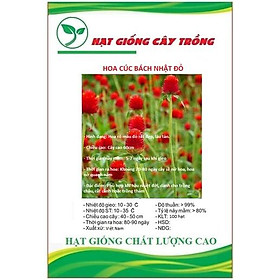 Hạt giống hoa cúc bách nhật hoa màu đỏ CT35 - Gói 100 hạt