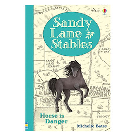 [Download Sách] Usborne Sandy Lane Stables Horse in Danger