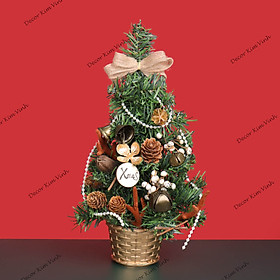 Mua Cây Thông Nhí 3TN02 Cây Thông 30cm Trang Trí Giáng Sinh Cây Thông Noel