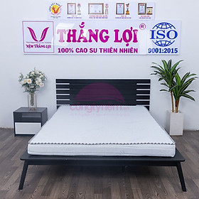 Mua Nệm memory foam TL