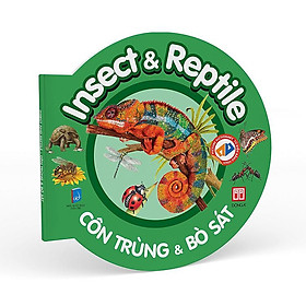 Sách Picture Dictionary - Từ điển bằng hình - Côn trùng & Bò sát - Insect & Reptile