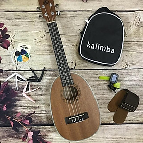 Mua (ĐỘC) ĐÀN UKULELE CONCERT BẦU DỤC