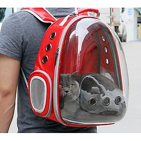 Balo nhựa trong cho mèo dưới 7kg