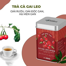 Trà Thảo Dược Cà Gai Leo Hygie Giải Độc Gan, Giải Rượu Bia, Mát Gan