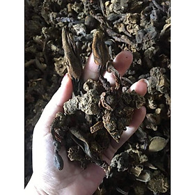 Nấm ngọc cẩu khô rừng - 1kg