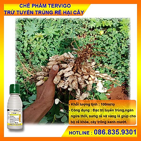 Mua Tervigo 020SC ( 100ml) Đặc Trừ Tuyến Trùng Rễ- ngăn ngừa thối sưng rễ và vàng lá