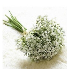 Hoa lụa - Bó hoa cải gió decor xinh xắn và vô cùng tươi mới sinh động, hoa cô dâu