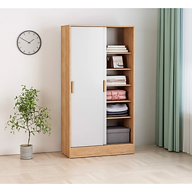 Mua Tủ Quần Áo Cánh Lùa NYROZI - GP151