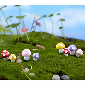 Mua Nấm mini Tiểu cảnh sen đá sân vườn bể cá - Tiểu cảnh terrarium