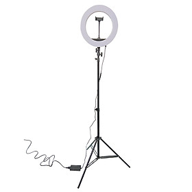 Mua Bộ tripod  giá đỡ livestream có đèn Led 3 chế độ  HQ-14 (36cm)  kèm kẹp điện thoại - Hỗ trợ ánh sáng chụp ảnh  livestream  quay tiktok hiêu quả - Hàng chính hãng
