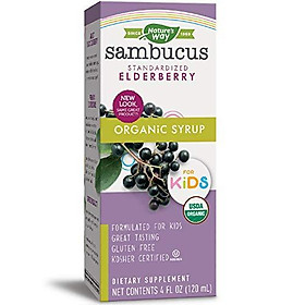 Nature's Way Sambucus for Kids, Organic Elderberry Syrup, 4 oz, 4 Fluid Ounce (Packaging May Vary)