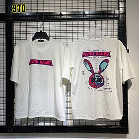 Áo Thun Unisex Freesize - Áo Thun From Rộng - Chất Vải Cotton Cao Cấp - 970