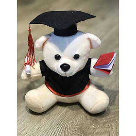 Gấu bông tốt nghiệp màu trắng lông mịn size 20cm