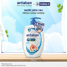 Nước Rửa Tay Bảo Vệ Da Kháng Khuẩn Antabax Fresh Sảng Khoái 250ml