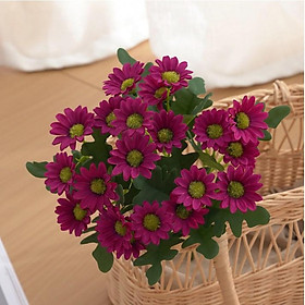 Mua Hoa giả - Chùm Hoa Cúc 21 bông nhiều màu sắc cành dài 31cm loại đẹp như thật trang trí nhà cửa  decor
