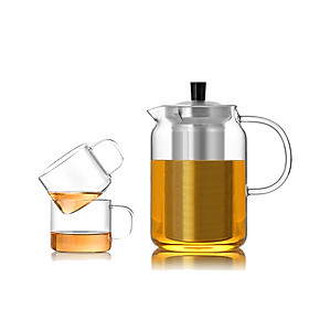 Mua Combo bộ Bình Lọc Trà thủy tinh lõi INOX Samaglas S053209 - 900ML