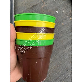Mua CHẬU NHỰA TRÒN 8cm 4K/C  Ảnh thật   Có sẵn 