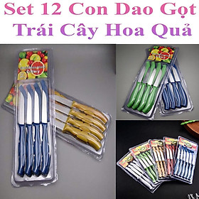 Mua Set 12 Con Dao Gọt Trái Cây Hoa Quả