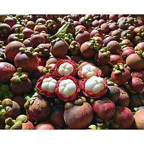 Măng cụt Việt Nam (1KG)