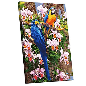 Tranh sơn dầu số hóa tự tô đã căn khung 40x50cm- E308 đôi chim vẹt