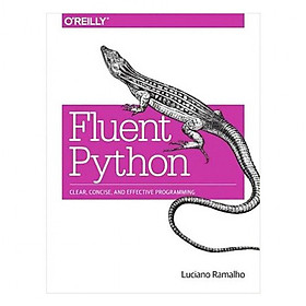 Nơi bán Fluent Python - Giá Từ -1đ