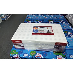 Mua Nệm Cao Su Non Ameria Vải Gấm Gấp 3 Dày 5cm - 10cm