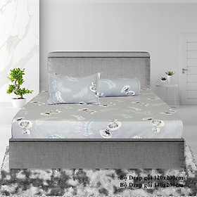 Bộ Drap Gối Cotton Hoa Thắng Lợi mẫu 21 - Chính hãng