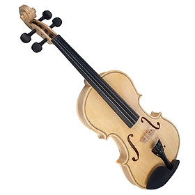 4/4 Full Size Acoustic Violin with Case Bow Rosin for Beginner
