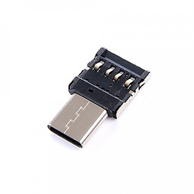 Bộ Chuyển Đổi Mini OTG Type-C Cho Điện Thoại Và Máy Tính Bảng Bạc