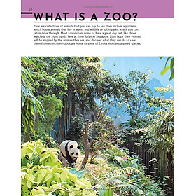 Behind The Scenes At The Zoo: Your Access-All-Areas Guide To The World's Greatest Zoos And Aquariums