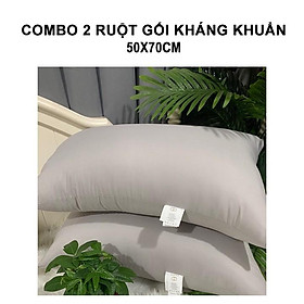 Mua (Xả Kho) Ruột Gối Kháng Khuẩn 2 Chiếc Cao Cấp Loại 1- 1 7kg Size 50x70cm ( Siêu Tiện Ích)