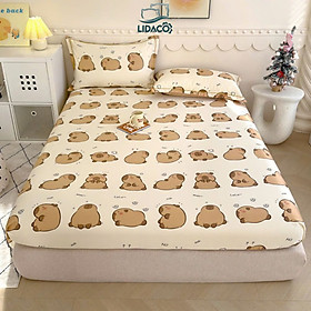 Bộ ga gối lụa thái LIDACO mềm mịn, thoáng mát nhiều mẫu lựa chọn