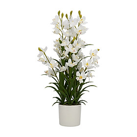Chậu Cây Giả Polyester CYMBIDIUM Màu Trắng W50xD45xH90 Cm|Index Living Mall|Nội Thất Thái Lan