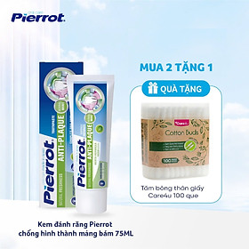 Kem đánh răng chống hình thành mảng bám PIERROT 75ml