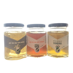 Combo 3 chai mật ong nguyên chất Vanbina 250gr/c - Mật hoa Bạc Hà + Mật hoa Trắng + Mật hoa cà phê