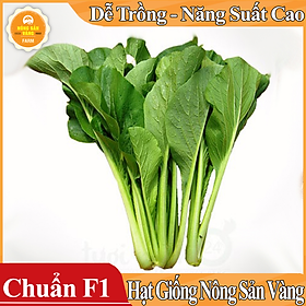 Hạt giống Cải Ngọt