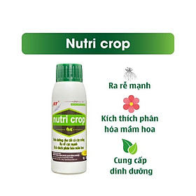 Mua Siêu Phân Bón Hữu Cơ Cho Rau Nutri Crop Đậm Đặc 100ml Kích Bật Mầm Xanh Nuôi Dưỡng Rau Sạch  Cây Trong Nhà An Toàn 100%