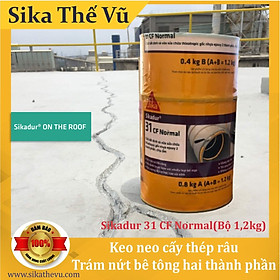 Keo neo thép râu, trám nứt bê tông hai thành phần - Sikadur-31 CF Normal (bộ 1.2 kg)