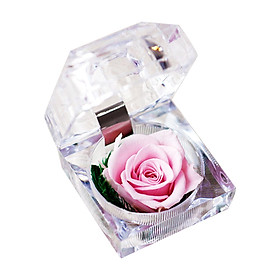 Hoa hồng vĩnh cửu được bảo quản trong hộp kính có mùi thơm làm quà tặng Valentine, ngày của mẹ