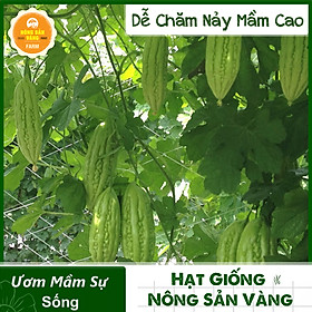 Mua Hạt giống Khổ Qua F1 Dễ Trồng  Trồng Được Quanh Năm  Được Nhiều Nhiều Yêu Thích (Gói 10 Hạt) - Nông Sản Vàng