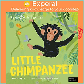 Sách - Little Chimpanzee - A Day in the Life of a Baby Chimp by Rebeca Pintos (UK edition, hardcover)