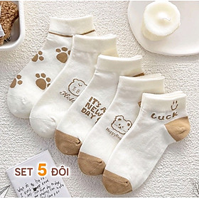 Tất Nữ, Combo 5 Đôi Tất Nữ Cổ Ngắn, Mẫu Tất Nữ Hình Gấu Nhiều Màu Dễ Thương Thời Trang - Giao Mẫu Ngẫu Nhiên