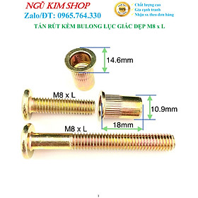 TÁN RÚT KÈM BULONG LỤC GIÁC DẸP M8 x L