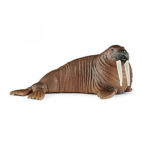 Mô hình sư tử biển Schleich 14365