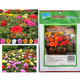 Hạt giống hoa mười giờ kép mix PN 08 Phú Nông - Gói 50 hạt