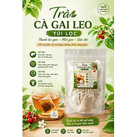 Trà Cà Gai Leo Túi Lọc- Mát Gan Giải Độc, Thanh Lọc Cơ Thể, Hỗ Trợ Người Bệnh Gan - Hộp 25 Gói